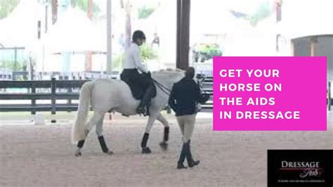 Riding Your Dressage Horse Honestly On The Aids Youtube