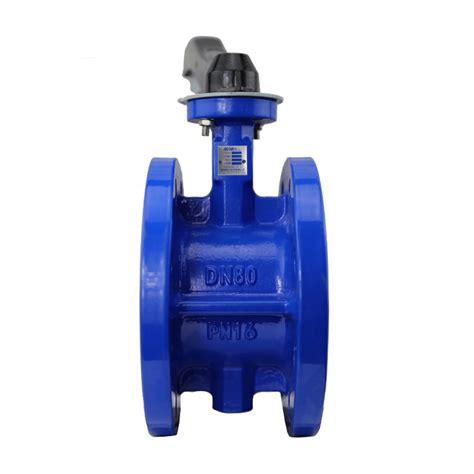 Double Flanged Connection Concentric Rf Ff Butterfly Valve With Ce Iso