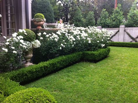 10 Landscaping Ideas With Boxwoods Homyracks