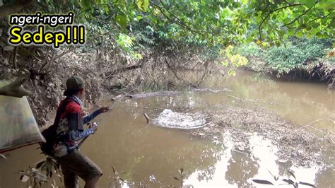 Baru Terjamah Spot Sungai Mati Di Pedalaman Hutan MANCING CASTING