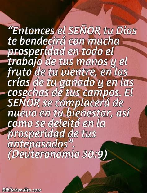 11 Versículos de la Biblia sobre Bendiciones y Prosperidad Biblia