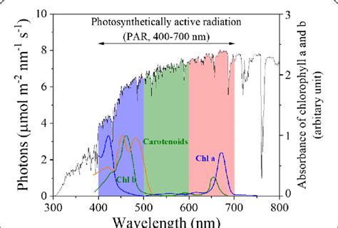 Solar Spectral Irradiance And Absorption Spectra Of Chlorophylls A And