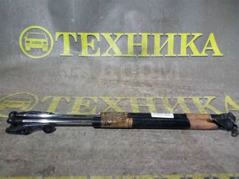 Купить Амортизатор задней двери Toyota Vitz Я5103200496 в Новосибирске ...