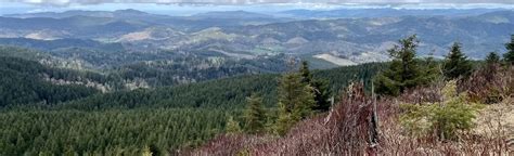 Mount Hebo, Oregon - 146 Reviews, Map | AllTrails