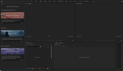 Adobe Premiere Pro