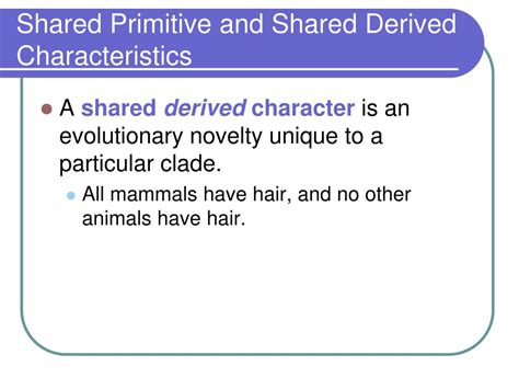 PPT - Phylogeny and Systematics PowerPoint Presentation - ID:542640