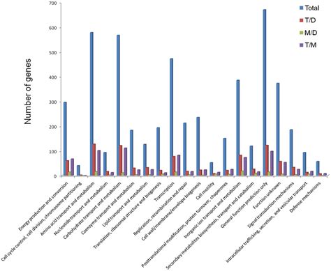 Distribution Of Differentially Expressed Genes In COG Functional