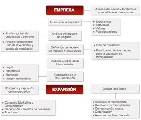 Fases Del Proyecto De Franquicia Consulta Franquicias