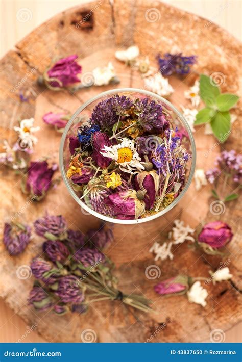 Dried Herbs And Flowers Stock Photo Image Of Balm Chamomile 43837650