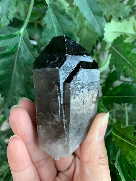 Extra Large Natural Smoky Quartz Crystal Points Inches Etsy Uk