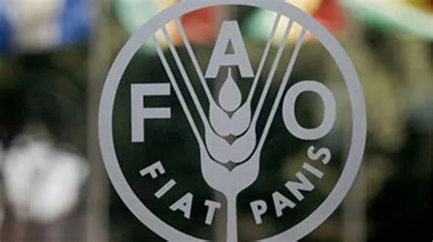 Acute Food Shortage Looms For 26m Nigerians By August 2024 Fao Report