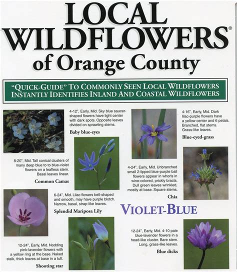 Local Wildflowers Of Orange County Laminated Fold Out Guide