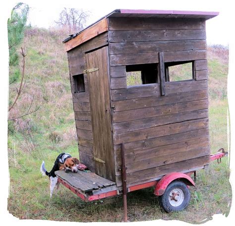 Tierisches: Neue Hütte