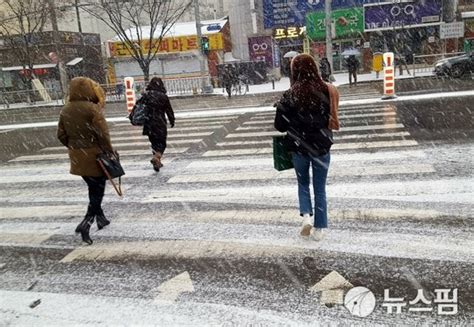 광주·전남 주말내내 강추위에 최대 20㎝ 큰 눈 네이트 뉴스