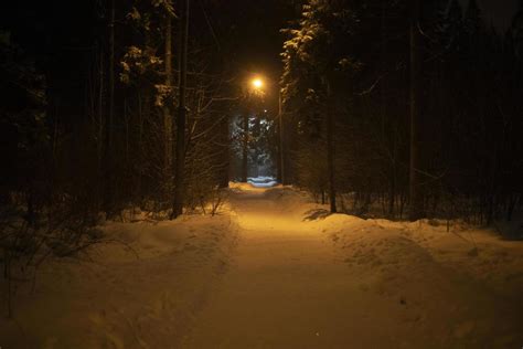 Road in park in winter at night. Details of park in city. Winter forest ...