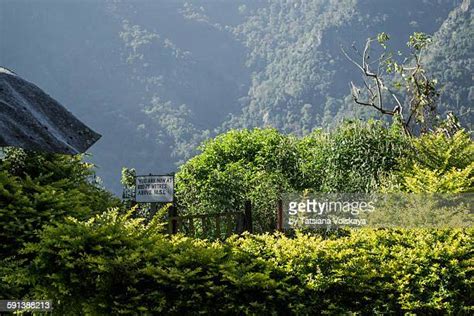 Udhagamandalam Railway Station Photos and Premium High Res Pictures ...