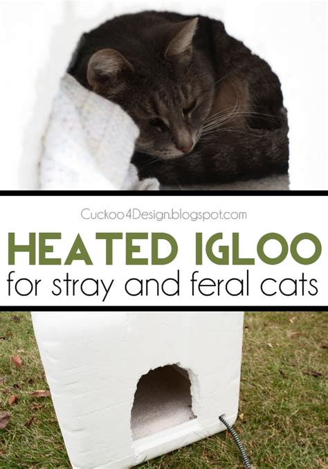 How to make a heated cat house igloo as a winter cat shelter - Cuckoo4Design