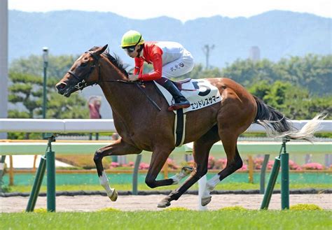 【函館新馬戦】エンドレスサマー 逃げて5馬身差v横山武「今後の成長が楽しみ」― スポニチ Sponichi Annex ギャンブル