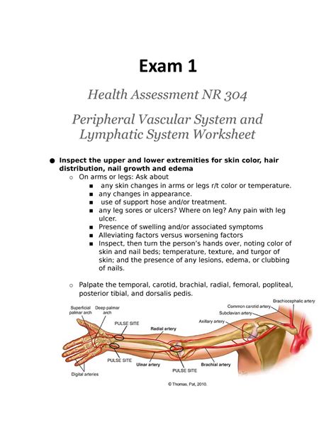 Health Assessment Exam Exam Health Assessment Nr Peripheral