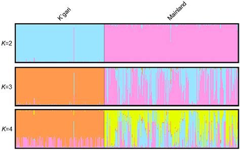 Structure Admixture Barplots For Values Of K Showing The Genetic