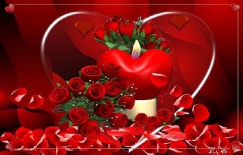 Red Rose I Love You Wallpaper Data-src - Roses Hd Wallpaper 1080p ...