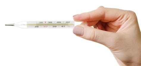 Premium Photo Female Hand Holding Thermometer Isolated On White