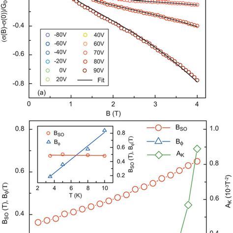 Magnetotransport Measurements A Magnetoconductance Of The Device At