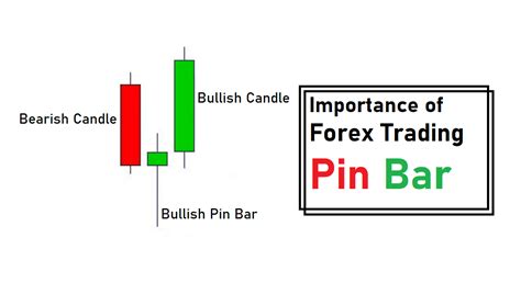 Importance Of Forex Trading Pin Bar