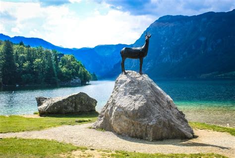 10 fantastic things to do in Lake Bohinj, Slovenia - Adventurous Miriam