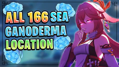 All 166 Sea Ganoderma Locations Speedrun Guide Yae Miko Prefarming