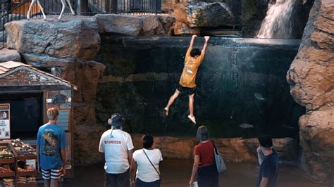 Jumping Into Bass Pro Fish Tank Youtube