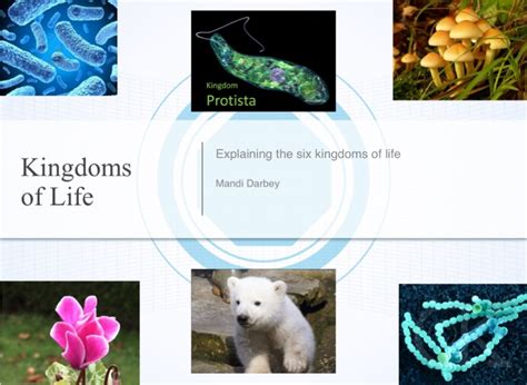 Kingdoms of Life on FlowVella - Presentation Software for Mac iPad and iPhone