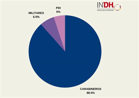 Nuevo Informe Del Indh El Mapa De Las Golpizas Perpetradas Por Agentes