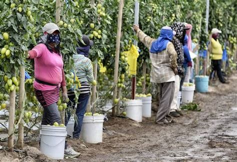 In South Texas Fair Wages Elude Farmworkers Years After Historic