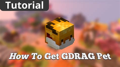 How To Get GOLDEN DRAGON Pet In Hypixel Skyblock YouTube