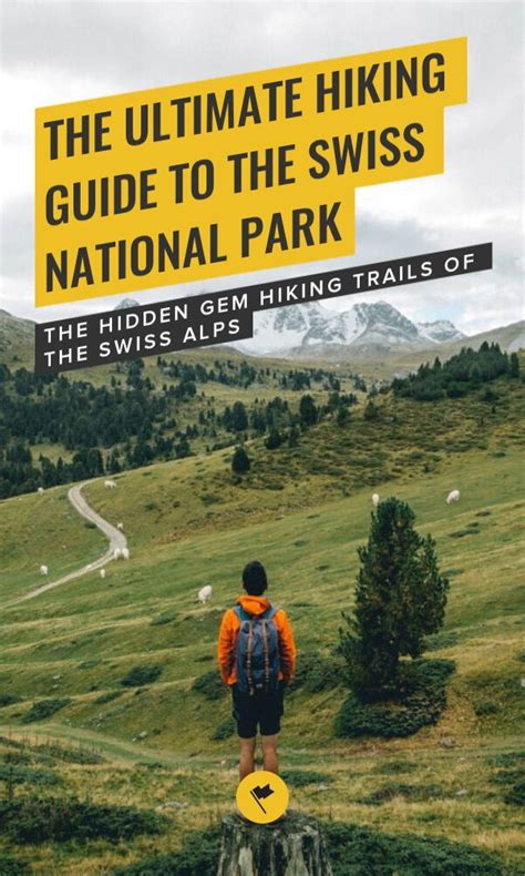 The Ultimate Hiking Guide to the Swiss National Park