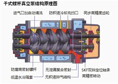 纯干货，干式螺杆真空泵的工作原理及结构图【非耀】