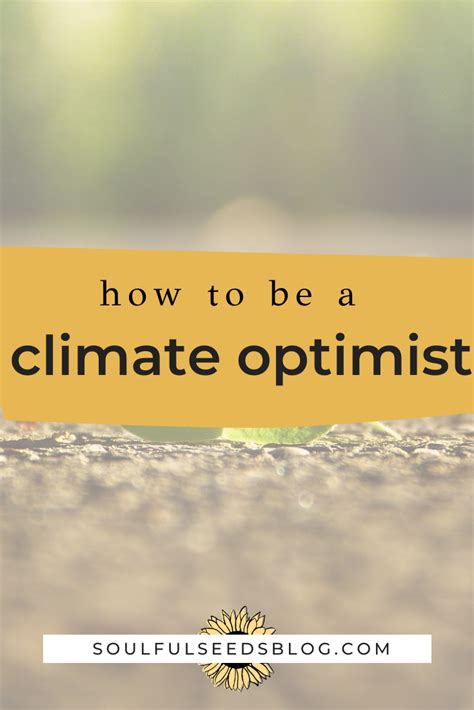 Climate Optimism How To Be Hopeful Amidst A Bleak Future Zahra Biabani