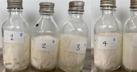 Diversity, evolution, and function in microbial communities - WUR 