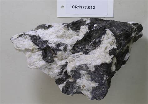 Rock Specimen Pegmatite CR1977 042 On NZ Museums