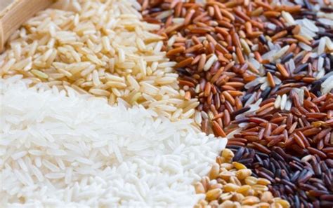 Rice Vs Pasta, Compared: Is Rice Healthier Than Pasta?