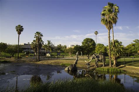 La Brea Tar Pits