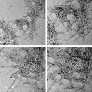 TEM Images Of Poly VCcoH Xerogel Demonstrating Fibrous Structures