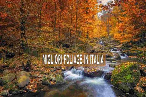 Foliage I Migliori Posti In Italia Dove Vederlo Tappe Obbligatorie