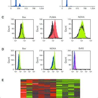 Representative Flow Cytometry Histograms Showing Cell Cycle Analysis By