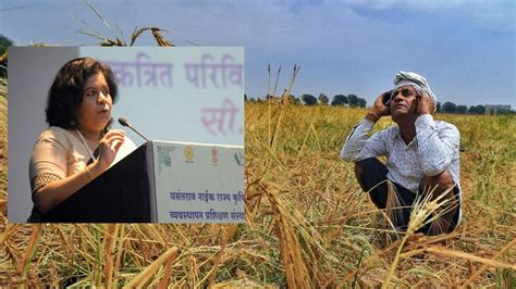 Crops Compensation वाढीव नुकसान भरपाईसह वाळू डेपोंचा मार्ग मोकळा