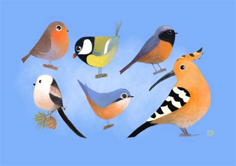 Birds From Tolmin Slovenia Behance