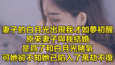 妻子的白月光出現我才如夢初醒，原來妻子與我結婚是爲了和白月光賭氣，可她卻不知她已陷入了萬劫不復。 Youtube