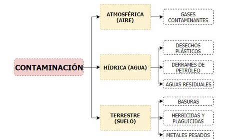 elaboramos un cuadro sinóptico que presente los efectos de la