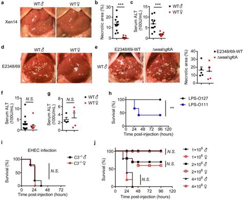 Sex Hormone Driven Innate Antibodies Protect Females And Infants Against Epec Infection Nature